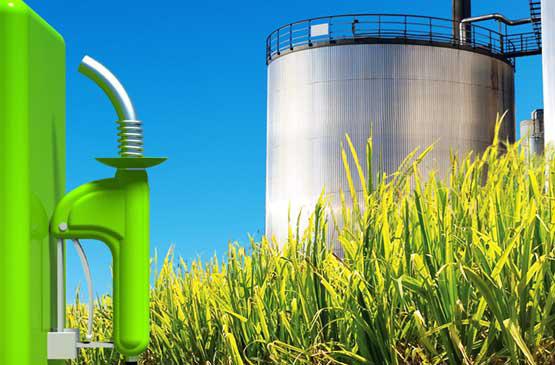 Governo projeta mercado futuro de biocombustíveis no país Governo projeta mercado futuro de biocombustíveis no país